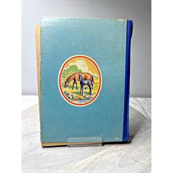 Big Big Story Book — Black Beauty / Heidi / Peter Pan / Hans Brinker — Whitman, - Picture 5 of 10